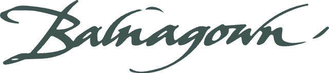 store_logo